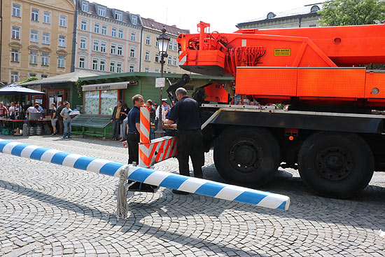 neuer Maibaum am Wiener Platz 2018 (©Foto: Martin Schmitz)